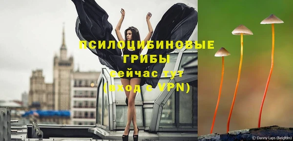 стаф Верхний Тагил