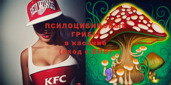 дурь Верея